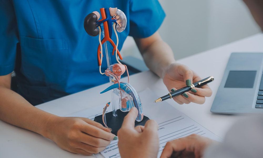 Urology